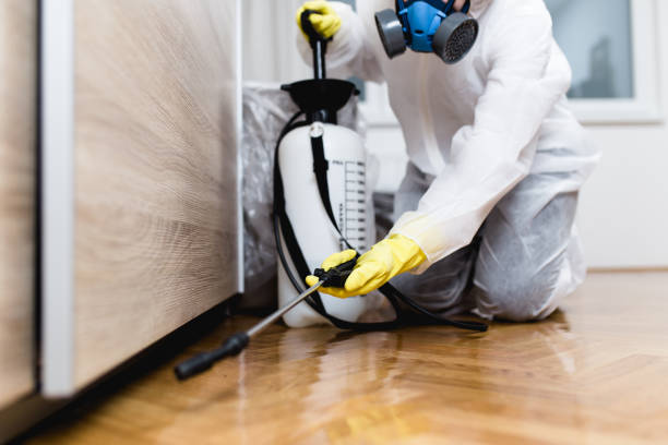 Best Termite Control Services  in North Bend, OH